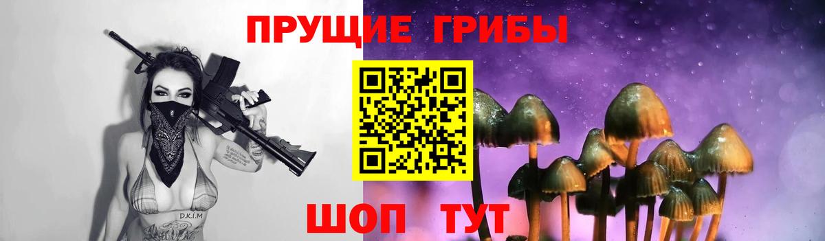 Галлюциногенные грибы Psilocybe Саратов
