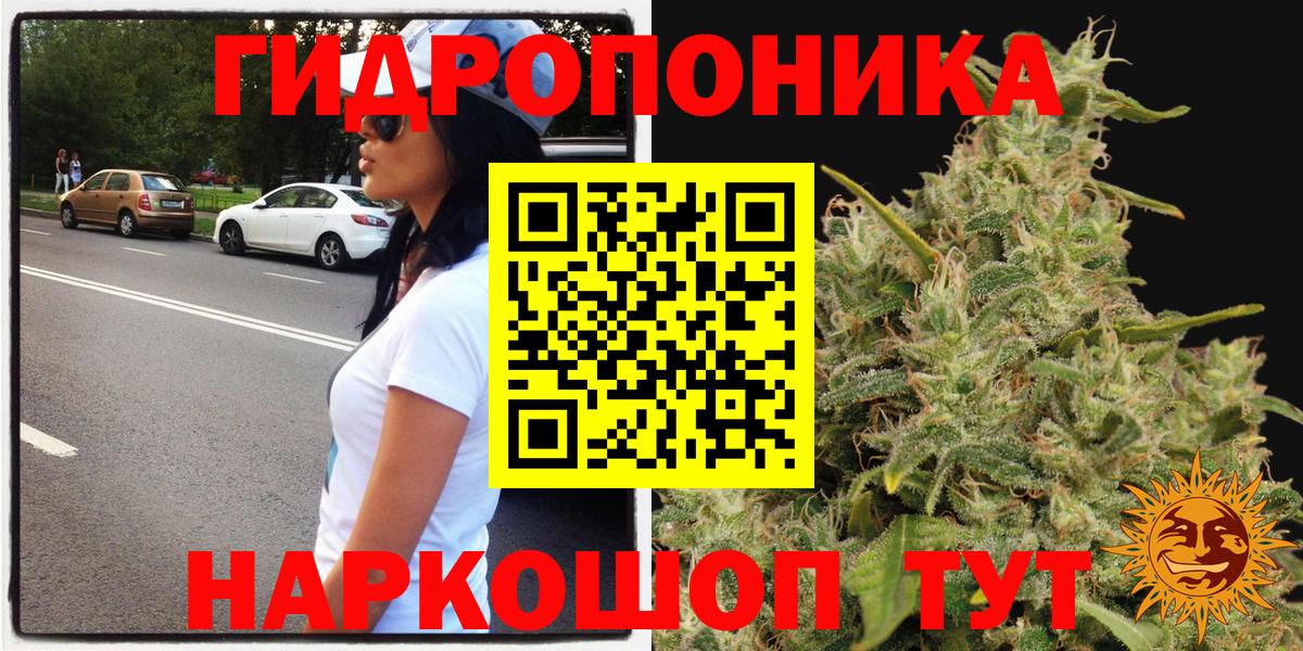 Саратов  Канабис MAZAR  Канабис White Widow  Вход с VPN  Канабис White Widow 